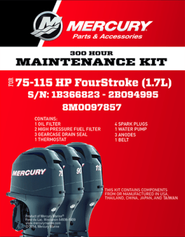 Mercury Service Kit