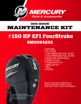 Maintenance Kit 150 HP