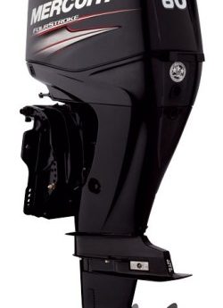 Mercury F60 EFI