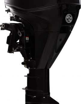 Mercury F 25 EFI ELPT