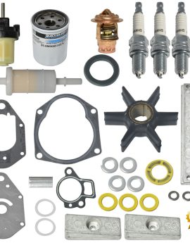 Mercury Maintenance Kit