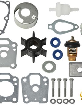 Mercury Maintenance Kit