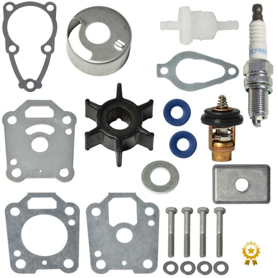 Mercury Maintenance Kit