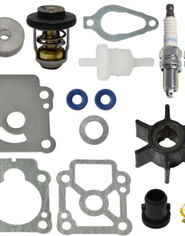 Mercury Maintenance Kit