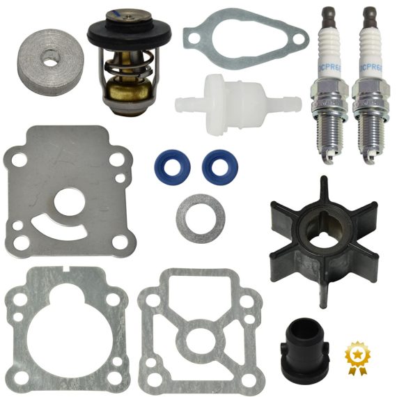 Mercury Maintenance Kit