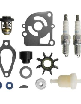 Mercury Maintenance Kit